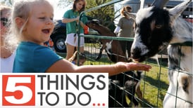 5 things to do in McHenry County: Settlers’ Days and fall shopping