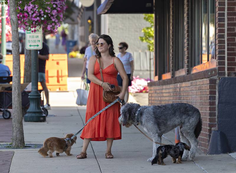 Kennidy Summers of Dixon hangs out at city market with her trio of pooches Franklin (left), Herman and Walter Wednesday, July 23, 2025.