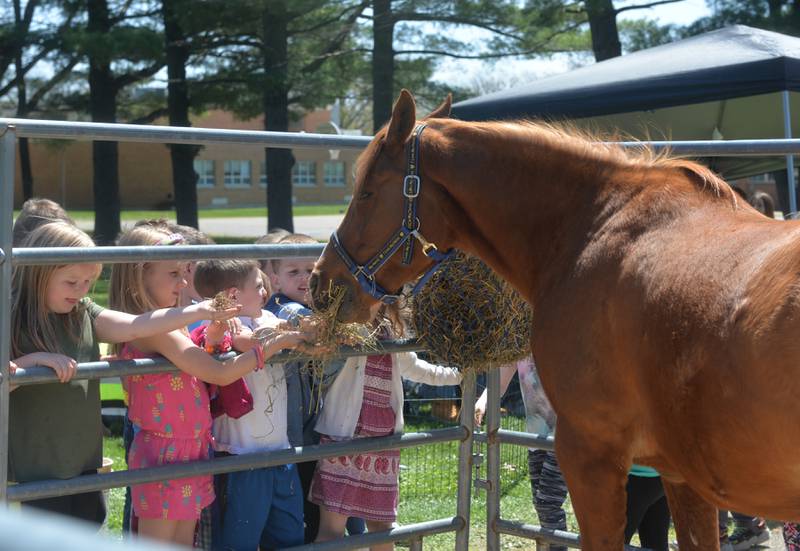 Oregon kindergartners reach out to pet Timmy, an Arabian horse owned by Oregon High School FFA member Molly Ziegler, during the FFA's petting zoo on Thursday, May 5, 2023. FFA members brought their animals and tractors to the event to share with Oregon elementary students. Ziegler is a junior at the high school.