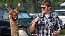 Ogle County 4-H Fair Llama and Alpaca Show winners named
