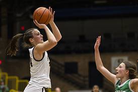 Sterling’s Madison Austin, coach Taylor Jackson lead 3A IBCA all-state selections