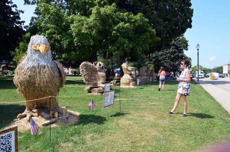 Donna Krumm, of Oregon, looks at "Freedom," a straw sculpture by Doreen Hartman, of Shannon, dedicated to Vietnam veterans on Saturday, Aug. 24, 2024, on the Mt. Morris College Campus during StrawFest, a part of the ninth annual U.S. National Straw Sculpting Competition.