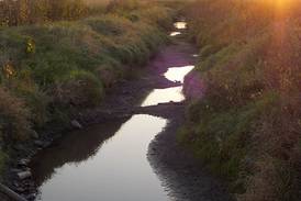 Migratory Birdwatching Hike at Lake Kakusha