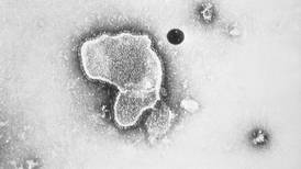 Respiratory illnesses on the rise in McHenry County
