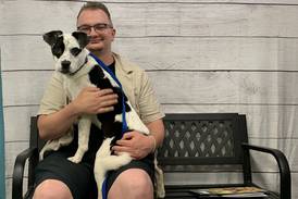 Find your forever friend at a local shelter or rescue