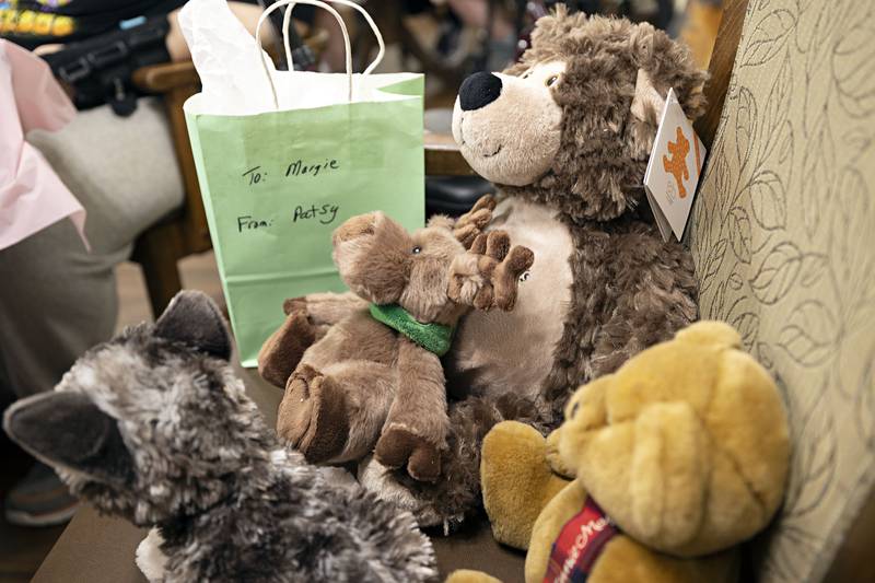 Not just bears, stuffed friends of all kinds and shapes were invited to attend the party Friday, March 31, 2023.