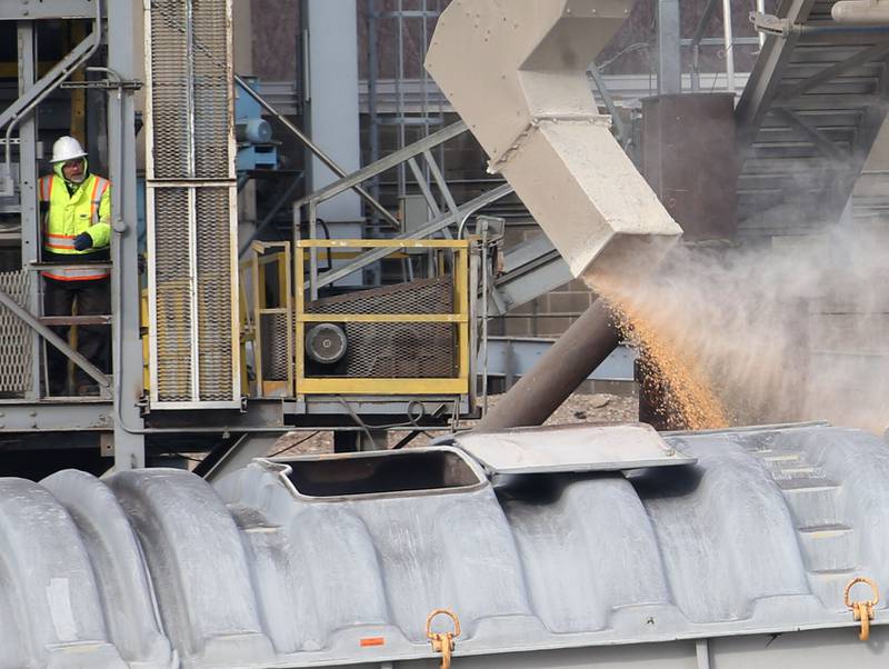 An ADM worker loads a barge container with grain on Thursday, Feb. 6, 2025 on the Illinois River at Spring Valley.