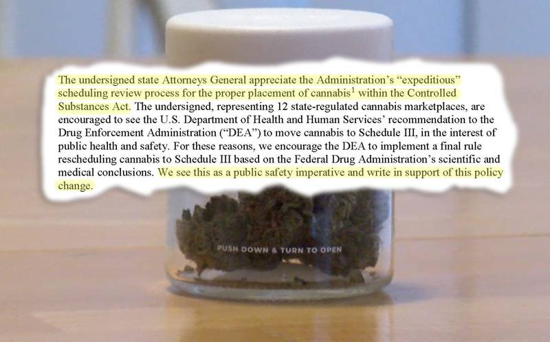 Illinois Attorney General Kwame Raoul and his counterparts in 11 other states sent a letter to the U.S. Drug Enforcement Agency urging them to reclassify cannabis as a Schedule 3 substance, down from the more serious Schedule 1.