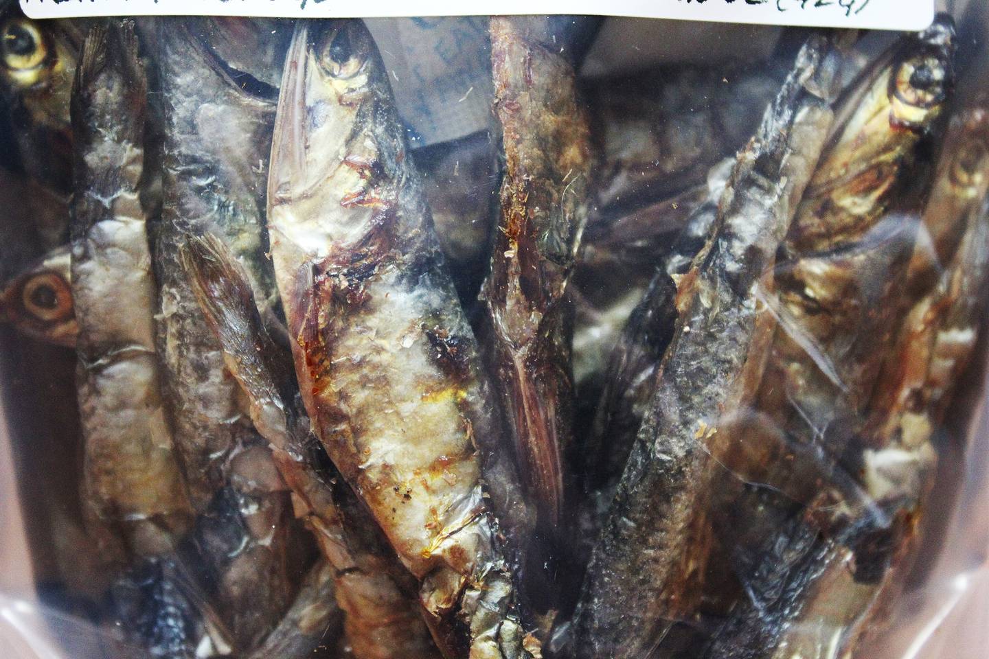 Dried anchovies are part of Bully House Raw in Sterling’s healthy food for dogs.
