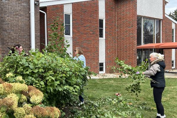 Plano churches put service into action with work day, food pantry