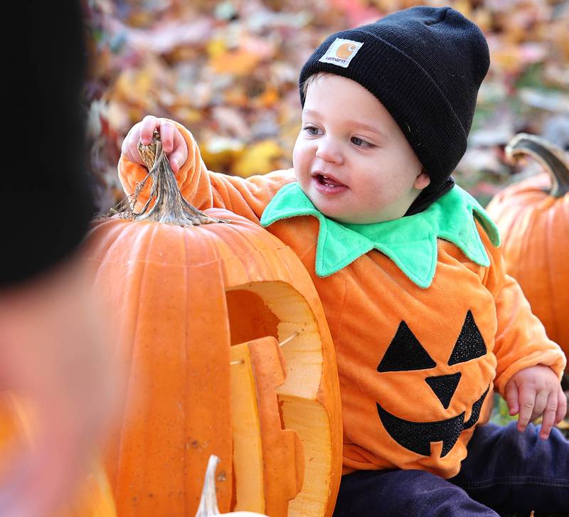 Beckett Dykstra, 1, from Sycamore, gets his pumpkin set up in the display area Wednesday, Oct.26, 2022 on the DeKalb County Courthouse lawn during the first day of the Sycamore Pumpkin Festival.