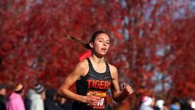 Girls cross country: 2023 Northwest Herald All-Area team