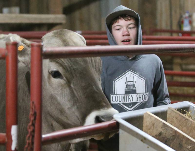 Elliot Erickson shows his cattle to a group of students during the Bureau County Ag. Fair on Thursday, March 21, 2024 in Princeton. The Ag Fair is a daylong event at the Bureau County Fairgrounds in which students make times stops at multiple stations. There are fourteen different learning centers specializing in dairy, embryology, safety, pork, corn, seed science, conservation, beef, soybeans, pollination, technology, equipment, and large and small animals.