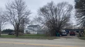 Lockport buying up lots for future development, parking