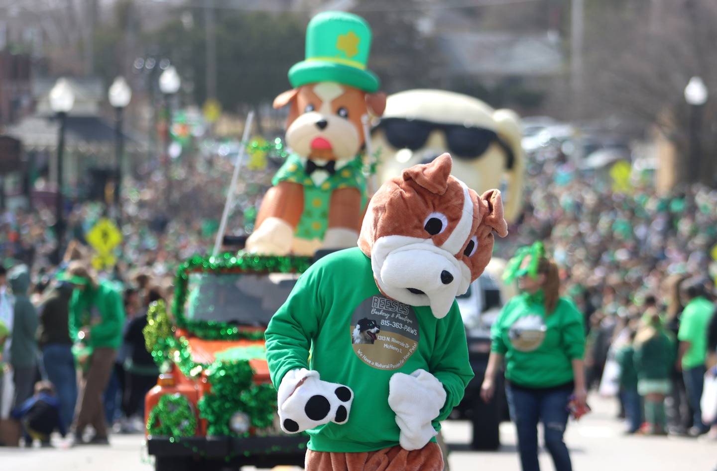 The ShamROCKS the Fox Parade makes its way on Green Street through McHenry on Saturday, March 15, 2025.
