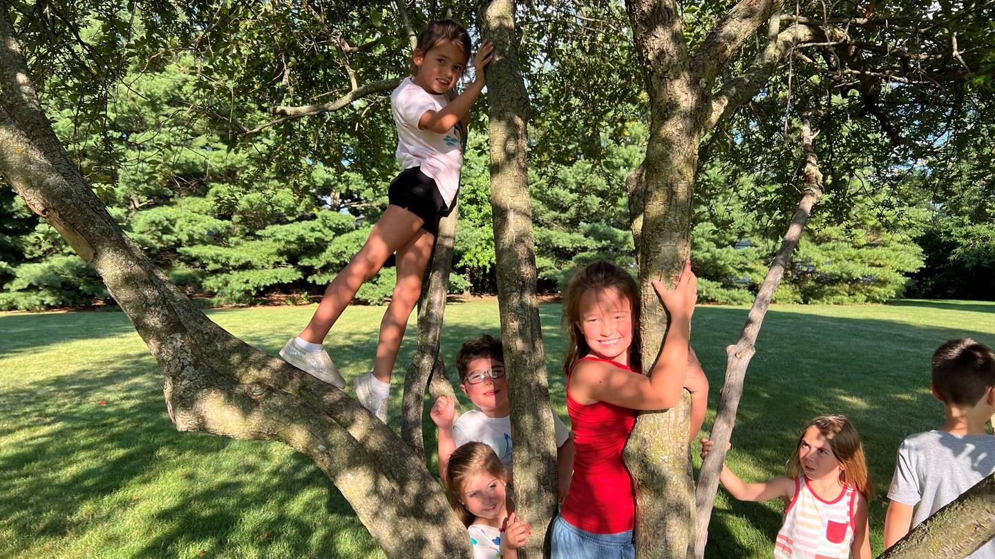 Children enjoy a Cookout in the Park at Fargo Park