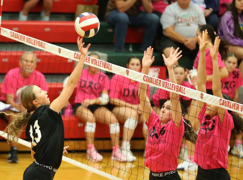 Ottawa's Ayla Dorsey hits the ball to the L-P side of the net during Volley for a Cure night on Tuesday, Oct. 1, 2024 at AJ Sellett Gymnasium.