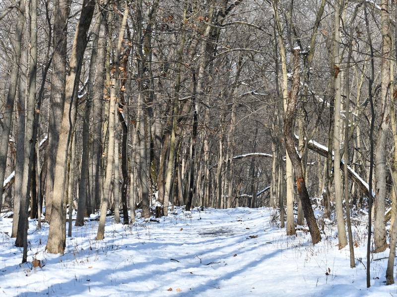 5 Things to Do: First Day Hike, Emo Night Live in Yorkville this weekend