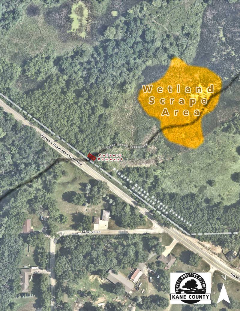 A wetland scrape project will take place at the Forest Preserve District of Kane County's Pingree Grove Forest Preserve from August 17 until approximately September 30.