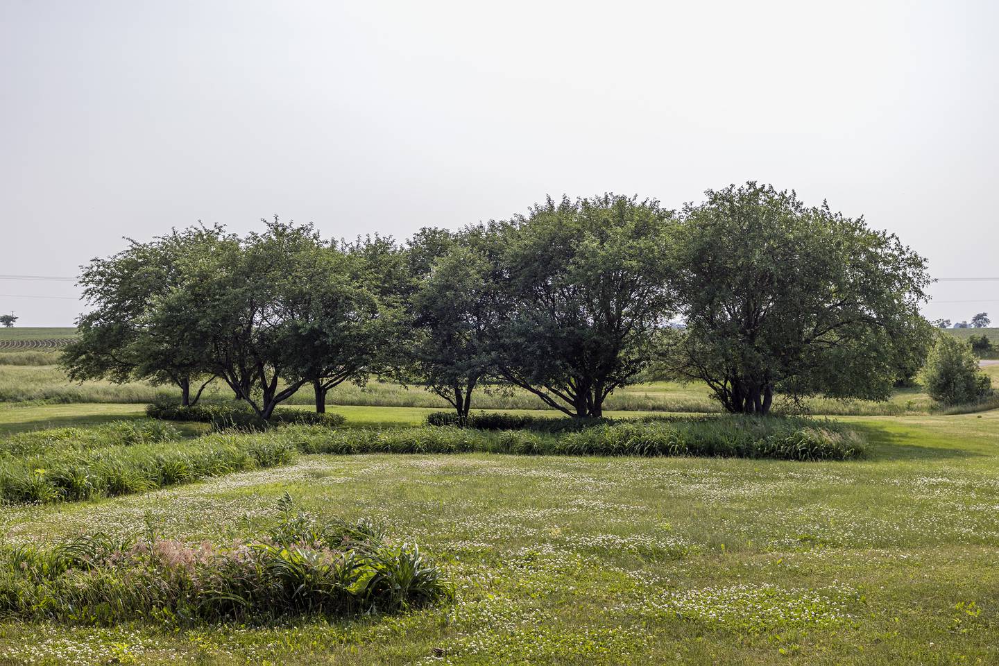 Nathan Whitney settled at the property in in the mid-1800s and planted a successful orchard, eventually developing the Whitney apple. An owner of the property planted several Whitney apple trees.