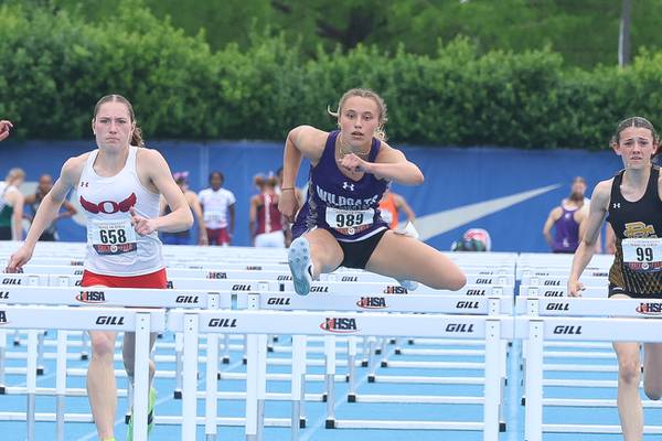 Milford/Cissna Park’s Addison Lucht, Wilmington’s McKenna Van Tilburg win state titles