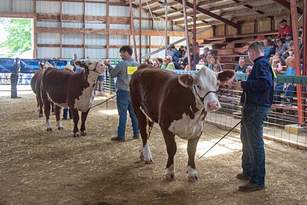 Lee County 4-H’s New Family Orientation set for March 28