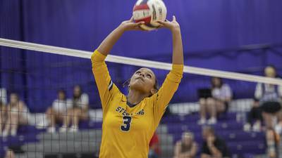 The 2024 Sauk Valley Media All-Area Girls Volleyball team 