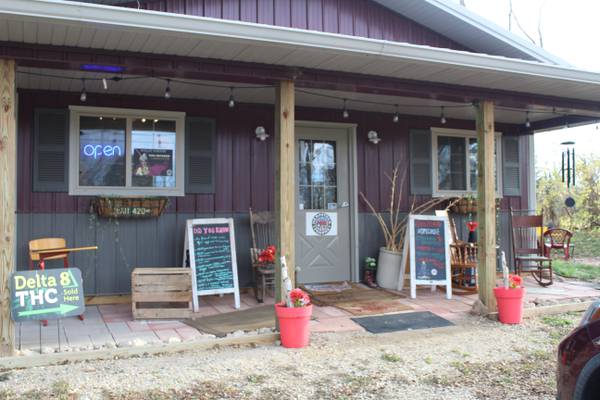 Experience Hemp Harvest Festival in Woodstock on Saturday