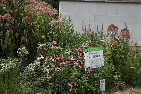 Learn about stormwater at Illinois Extension workshops in Sycamore