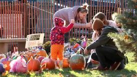 Pumpkin Fest spans generations in Sycamore