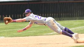 2026 Daily Journal baseball capsules