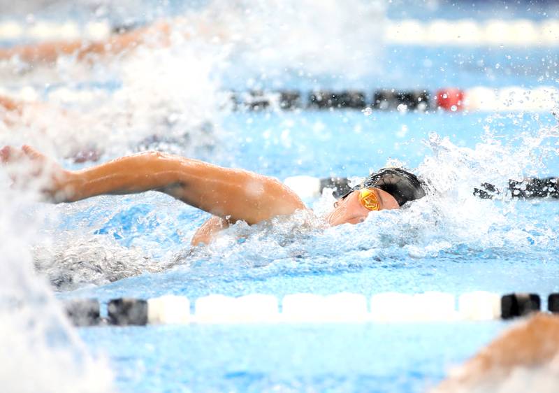 Lyons Township’s Audrey Cavaliere competes in the 100-yard freestyle consolation heat during the IHSA Girls State Championships on Saturday, Nov. 16, 2024 at FMC Natatorium in Westmont.