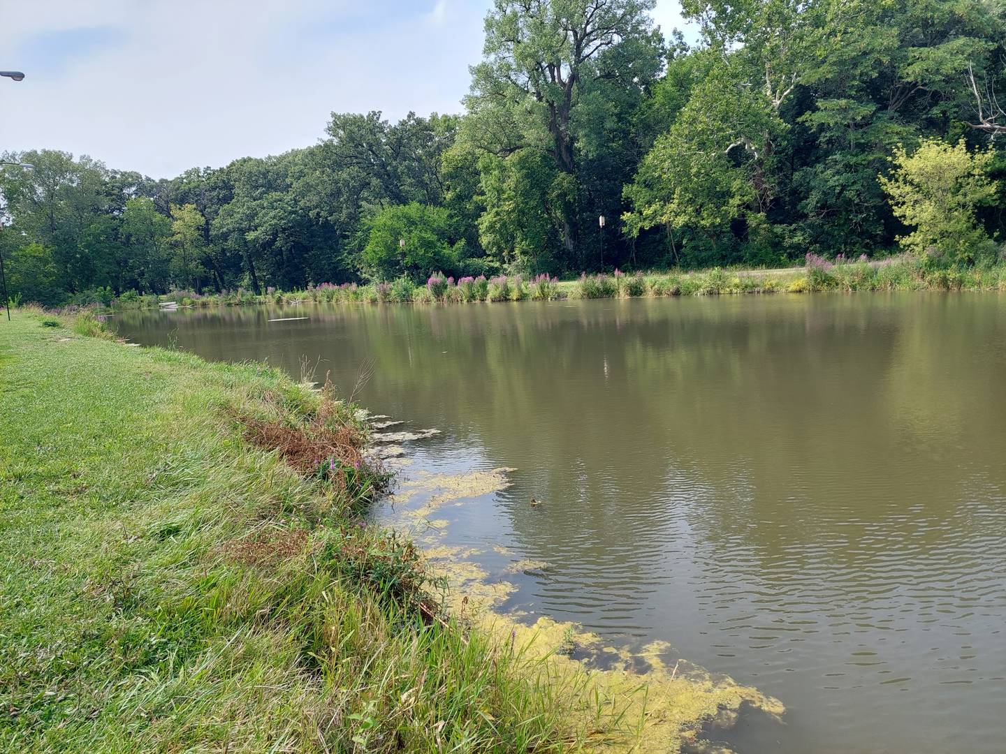 The city of Streator is seeking a grant to improve the Marilla Park pond area for fishing and ice skating.