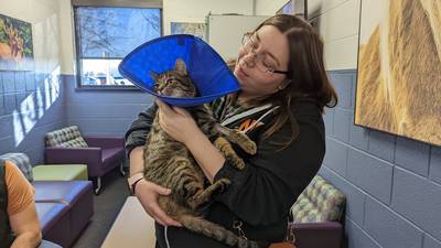 Baran-Unland: We have another cat, thanks to Joliet Junior College