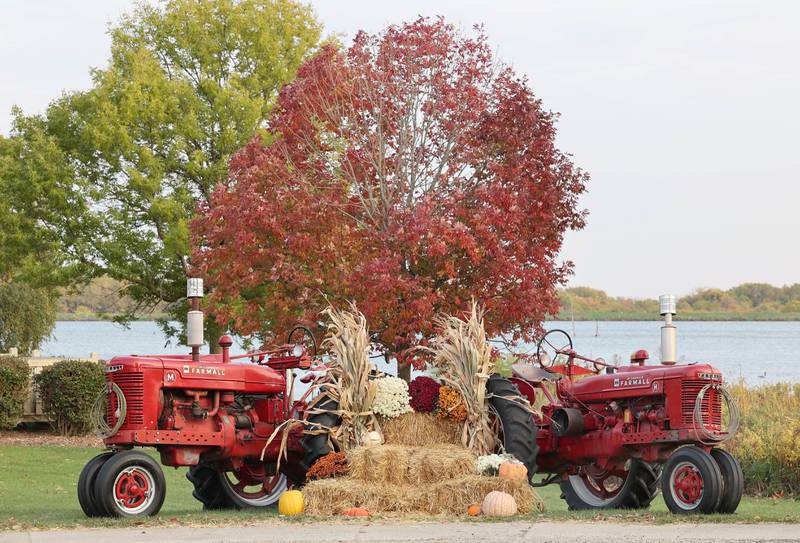 A fall display is set up near Pokanoka’s Dockside Cafe Thursday, Oct. 13, 2022, at Shabbona Lake State Recreation Area near Shabbona.