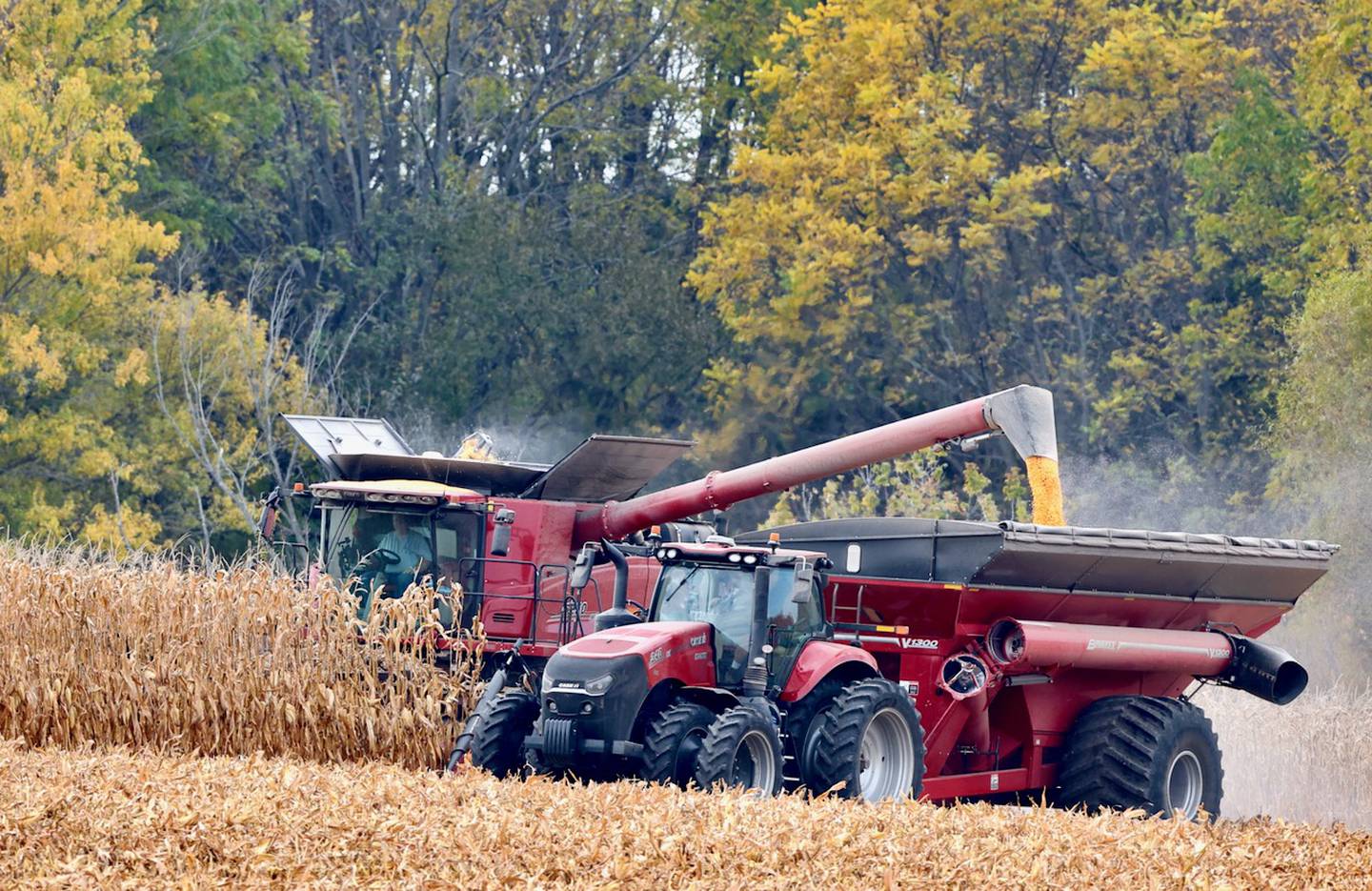 The harvest continues the week of Oct. 21 in Bureau County.