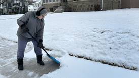 Photos: Snow falls across Dixon, Sterling