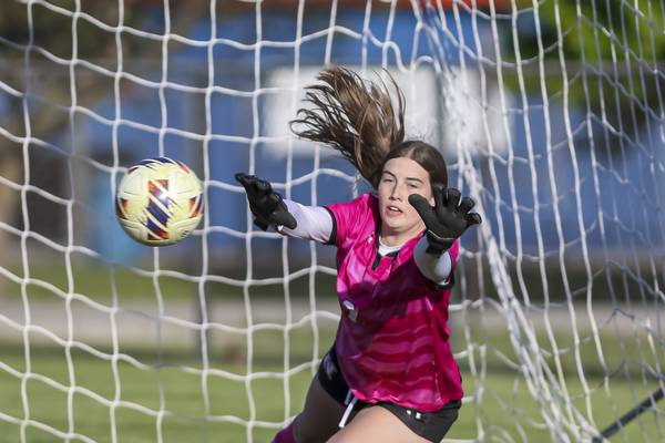 Team positioning themselves in final week before the playoffs: The Herald-News Girls Soccer Notebook