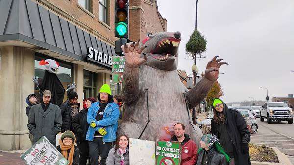 Starbucks’ baristas strike, picket Geneva location with giant rat