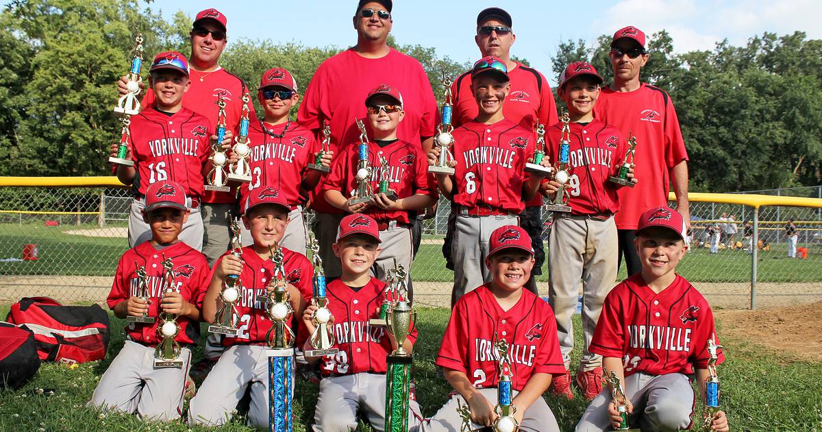 YYBS 9U Travel Baseball earns first place in division – Shaw Local