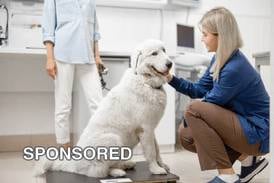 Helping Pets Maintain a Healthy Weight