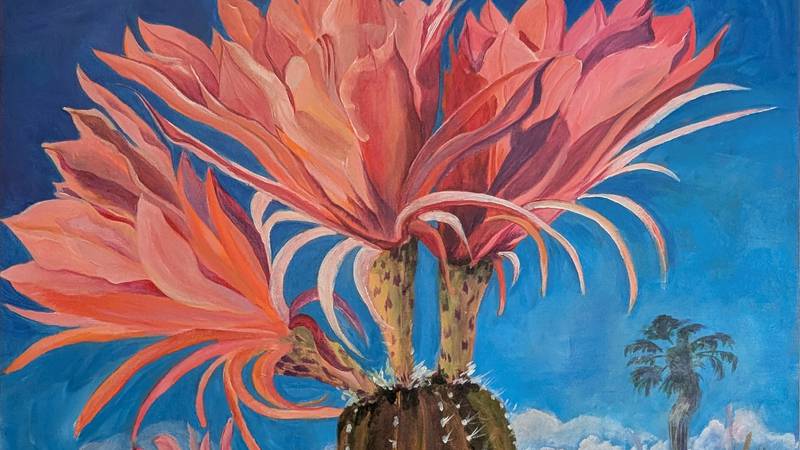 Sterling’s Woodlawn Arts Academy names juried art exhibit winners