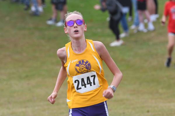 2025 NewsTribune Girls Cross Country All Area team
