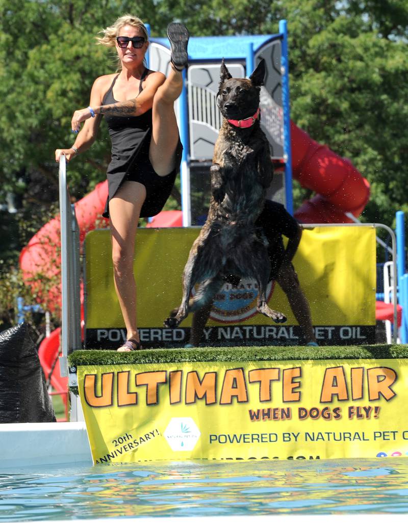 A toss and a leg kick by owner Niki Buda of Lansing, Michigan, sends Gia flying over the water of the Ultimate Air Dog competition during Hometown Days on Sunday, Sept. 1, 2024, at Beecher Park in Yorkville.