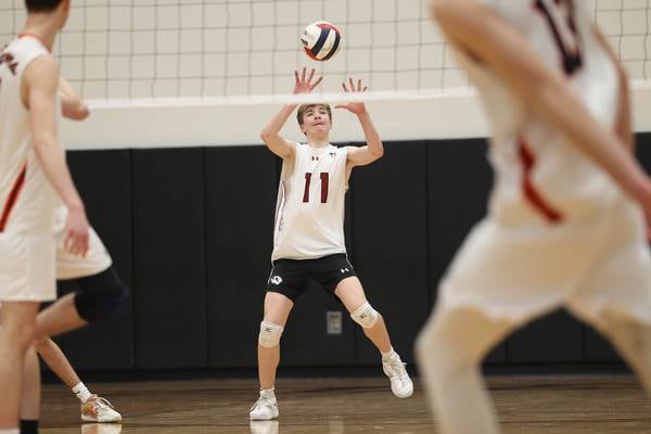 2026 Herald-News boys volleyball preview capsules