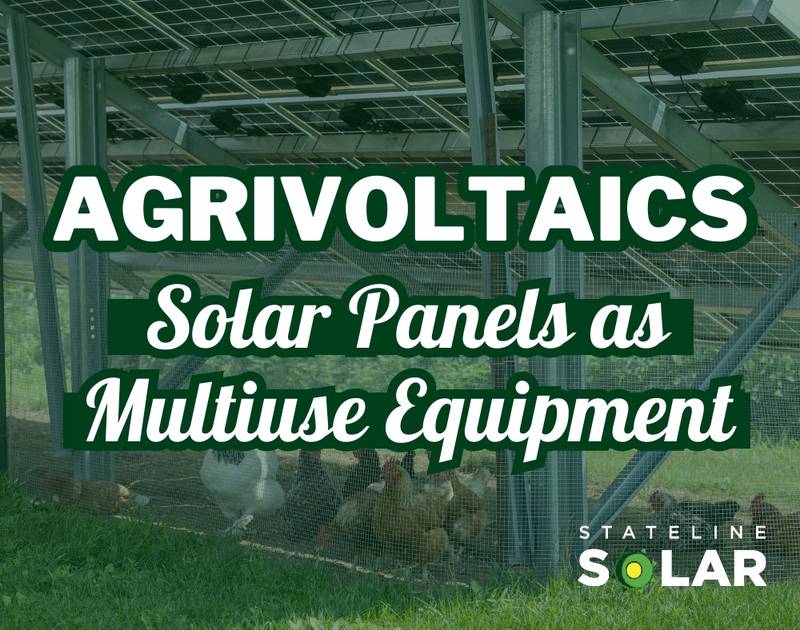 Stateline Solar - Agrivoltaics: Solar Panels as Multi-use Equipment