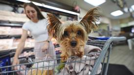 Retail sales up 0.6% in August from July even as tariffs hurt jobs and lead to price hikes