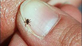 Kane County Health Department offers tick removal kits