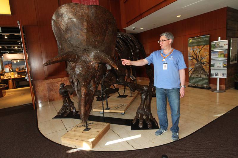 John Adams, of Mundelein, visitor's services clerk, talks about the Triceratops skeletal mold on display at the entrance to the Dinosaurs: Fossils Exposed exhibit in the Dunn Museum on October 28th in Libertyville. The exhibit is sponsored by the Preservation Foundation of the Lake County Forest Preserves and runs through January 15, 2024.
Photo by Candace H. Johnson for Shaw Local News Network