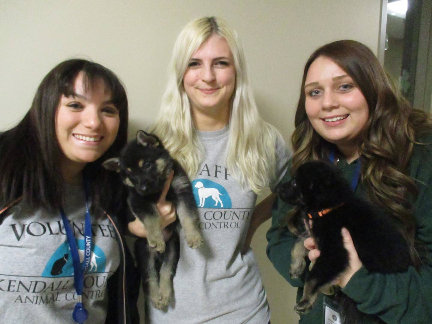 Kendall County Animal Control Director Taylor Cosgrove, center, is flanked by kennel staffers Jennifer Crawford, left, and Brianna Falk. They are seen here on March, 7, 2023 with puppies up for adaption.